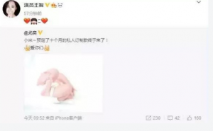 最新爆料！《偶像練習生》組合不會超18個月就會解散？劉亦菲宋承