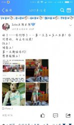 男子網上曬猥褻幼兒照 以招募童裝模特為由太可怕