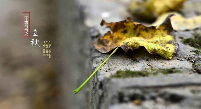 立秋下雨好不好 立秋忙打靛是什么意思？ 2