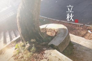 立秋下雨好不好 立秋忙打靛是什么意思？
