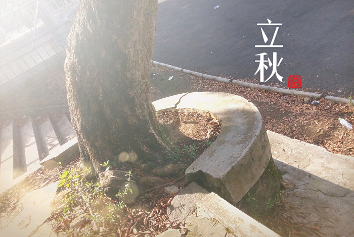 立秋下雨好不好 立秋忙打靛是什么意思？ 1