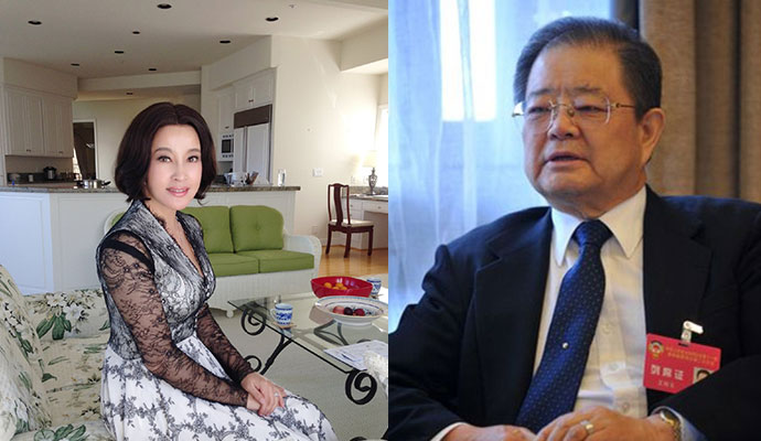 王曉玉前妻是誰？扒一扒王曉玉背后的女人 1