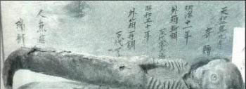 恐怖的美人魚(yú)化石：美麗的童話被打破了 7