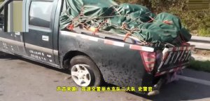 6萬硬幣撒高速怎么回事?撿錢撿到手軟的感覺想體會嗎?