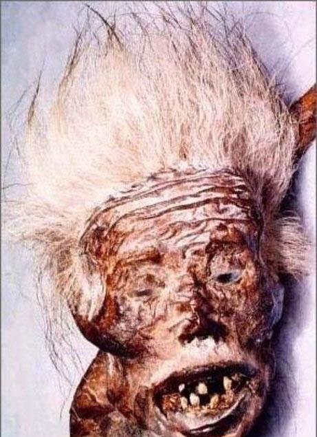 美人魚之謎真相揭秘 古籍中多見關于人魚記載 4