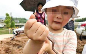 父親捉毒蛇讓女兒把玩 ＂虎爸＂教育你接受得了嗎？
