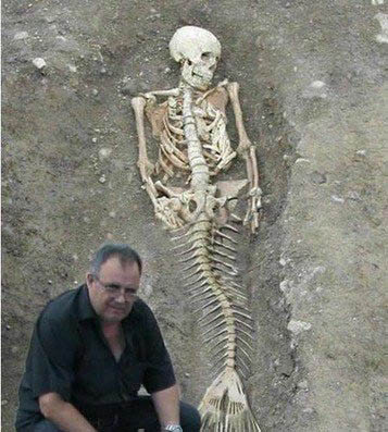 世界上有美人魚嗎？ 探索美人魚的神秘真相 3