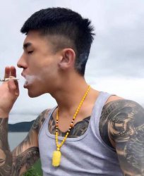 沈陽南魏龍北仙洋什么梗 沈陽魏龍打仙洋事件