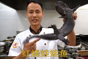 王剛道歉紅燒娃娃魚(yú) 王剛是誰(shuí)揭其個(gè)人資料