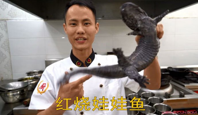 王剛道歉紅燒娃娃魚 王剛是誰揭其個人資料 1