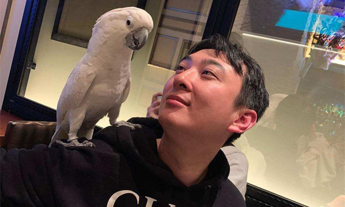 王思聰花千芳事件 兩人為什么互罵始末 2