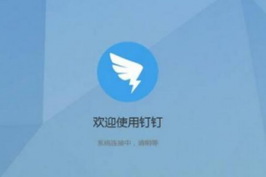 釘釘直播如何播放ppt
