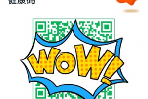 杭州健康碼平臺是什么