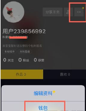 抖音音浪怎么提現(xiàn) 抖音音浪提現(xiàn)方法 2