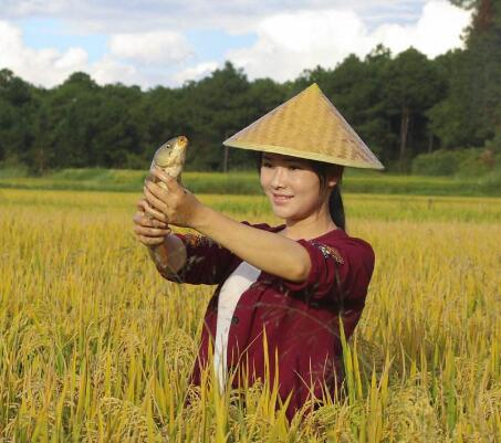 滇西小哥家在哪里 滇西小哥是云南哪里 2