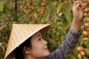 滇西小哥家在哪里 滇西小哥是云南哪里