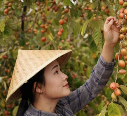 滇西小哥家在哪里 滇西小哥是云南哪里 1
