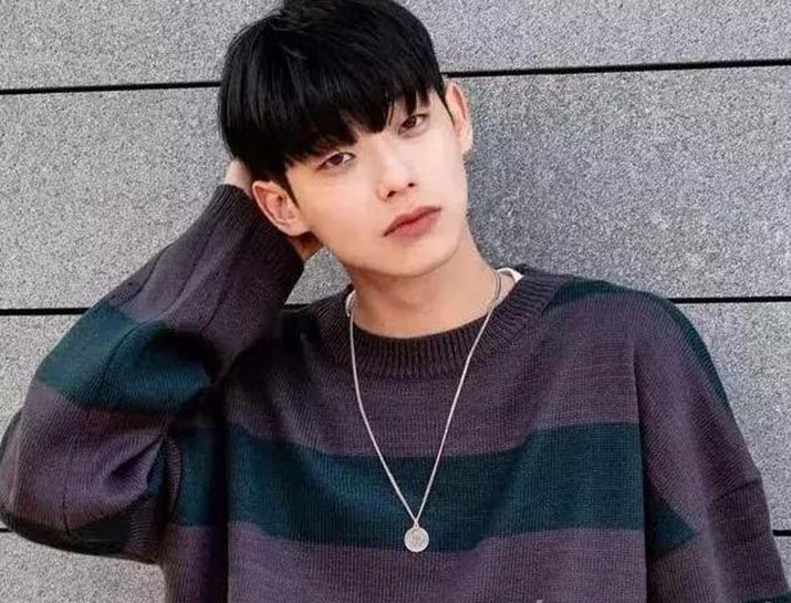 精致豬豬男孩發型 女生最愛的男生發型 2