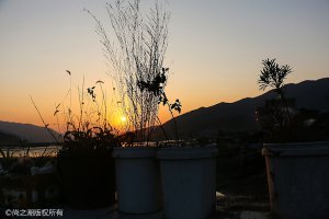 vivo手機home鍵在哪里設置方法