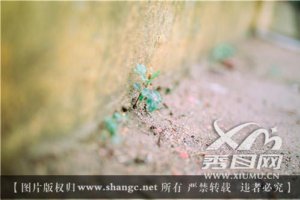大光圈和小光圈的區別 入門級玩家必看