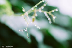 蘋果手機突然沒聲音了 處理沒有聲音的方法