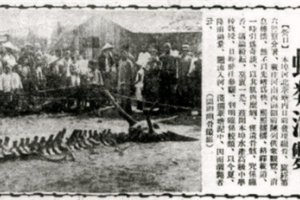 營口墜龍事件真相揭秘 怪物尸體很像龍的尸骸