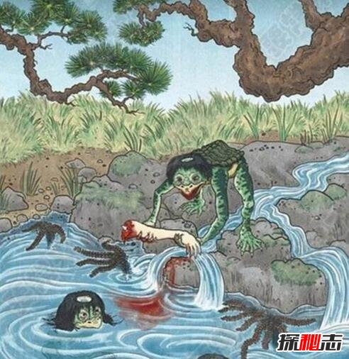 水猴子圖片真實圖片 水猴子是什么動物 8