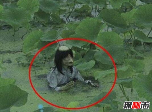 水猴子圖片真實圖片 水猴子是什么動物 6