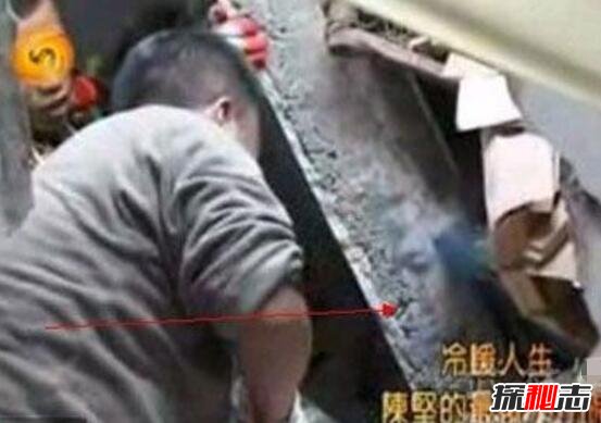 汶川地震半張臉是真的嗎 生過許多詭異的事情 4