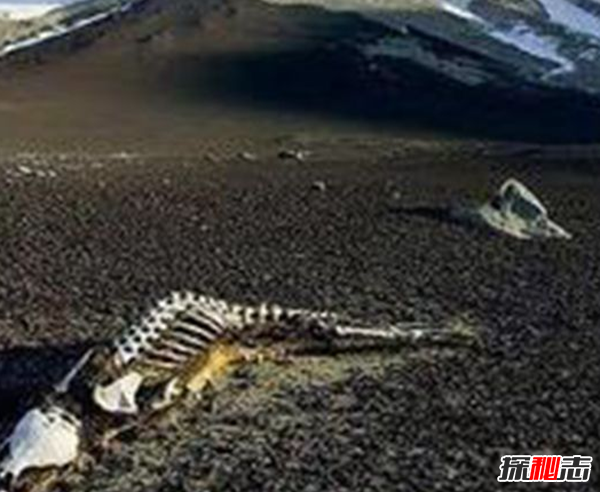 中國近700年靈異事件盤點 至今還未揭開秘密 9