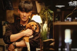 也平凡季平為什么復(fù)仇 結(jié)局是什么