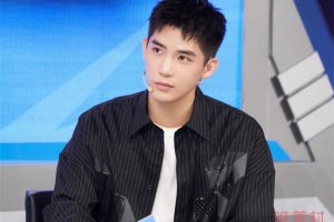 王安宇私信女網紅被曝 王安宇撩網紅是誰