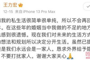 王力宏李靚蕾婚變內(nèi)幕 王力宏的家人不喜歡李靚蕾