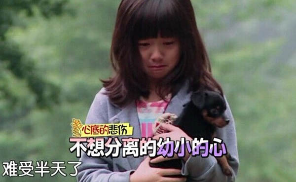黃磊一共生了幾個娃 黃家三美一帥還有一胖 4