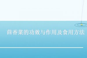 茴香菜的功效與營(yíng)養(yǎng)