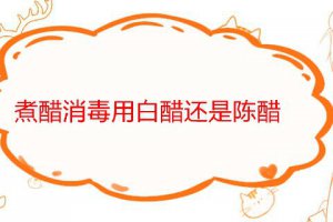醋消毒是用白醋還是陳醋?