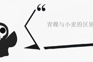 青稞與小麥有什么區(qū)別 營(yíng)養(yǎng)價(jià)值