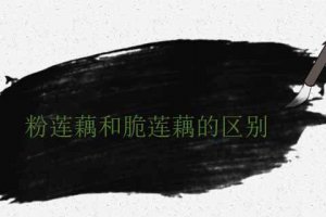 蓮藕粉的和脆的區(qū)分 哪個(gè)好吃