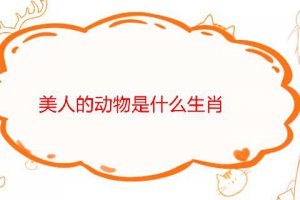 十二生肖美人的動(dòng)物是什么生肖