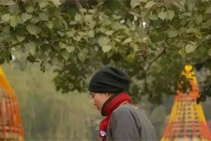 王菲一身尼姑打扮拜佛 是出了名的佛教徒