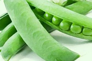 帶殼鮮毛豆如何保存 毛豆保鮮儲(chǔ)藏方法