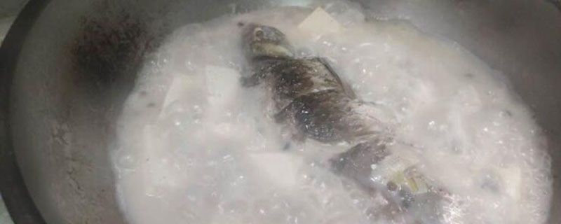 到底是湯有營養(yǎng)還是肉有營養(yǎng) 1