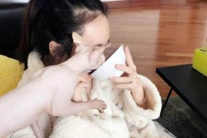 霍思燕家里的貓是什么品種 樣子丑丑的身價(jià)可不菲