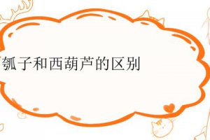 瓠子和西葫蘆是一個品種嗎 葫蘆和瓠子有什么區別