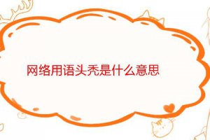 頭禿是什么意思 有點頭禿是什么意思