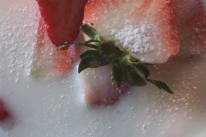 布丁和果凍一樣嗎 布丁和果凍哪個更好