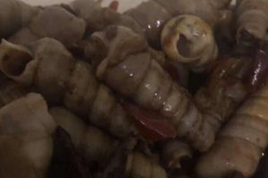 花甲都開了還能吃嗎 花甲開口了還能吃嗎