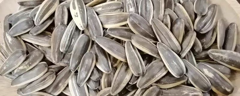 瓜子是從哪里來的 瓜子的營養成分 1