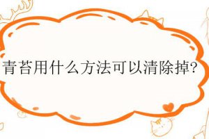 青苔如何處理得掉 青苔一般用什么方法處理