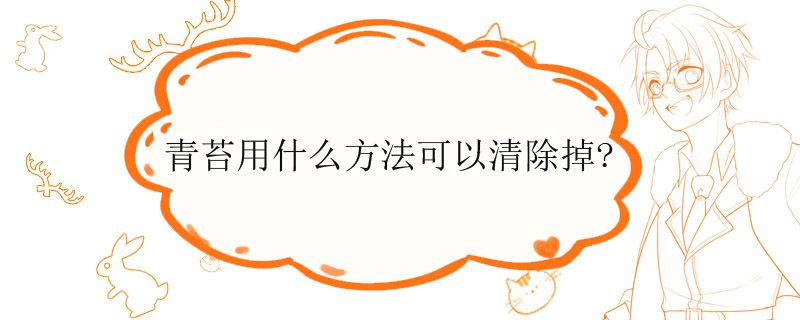 青苔如何處理得掉 青苔一般用什么方法處理 1